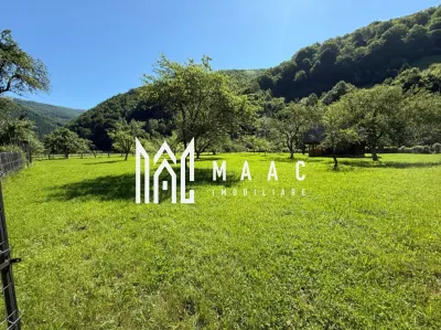 Teren Intravilan | 3050 Mp | Ieșire la Râu | Râul Sadului - foto 5