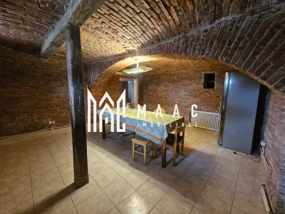Casa Individuala | 8 camere | 6 bai | 300 mpu | Turnisor - foto 21