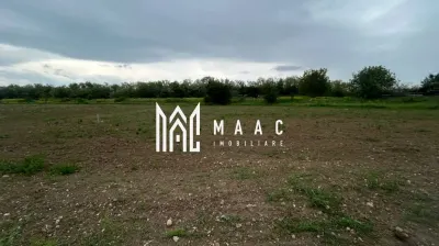 Teren Șelimbăr | 4517Mp | Intravilan - foto 4