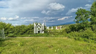 Teren intravilan de vânzare Daia Nouă | 1000 mp | Ideal pentru construcție - foto 3