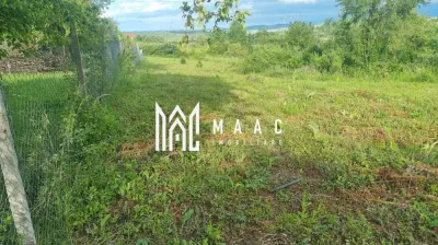 Teren intravilan de vânzare Daia Nouă | 1000 mp | Ideal pentru construcție - foto 4
