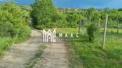 Teren intravilan de vânzare Daia Nouă | 1000 mp | Ideal pentru construcție - foto 5