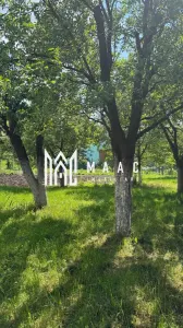 Case de vanzare Sibiu | Casă 3 camere | Gusterița, teren 2381 mp - foto 14