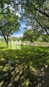 Case de vanzare Sibiu | Casă 3 camere | Gusterița, teren 2381 mp - foto 3