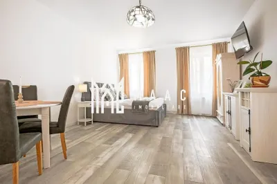 DECOMANDAT 100 METRI PATRATI I APARTAMENT PIATA MICA I SIBIU - foto 8