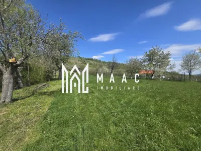 Teren 5400 mp superb cu livada si vedere spre munti Orlat - foto 9