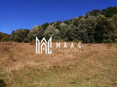 Teren Extravilan 20.000Mp I Stoenești -Vâlcea I Apă Curentă și Pădure - foto 12