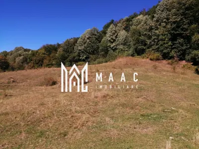 Teren Extravilan 20.000Mp I Stoenești -Vâlcea I Apă Curentă și Pădure - foto 13