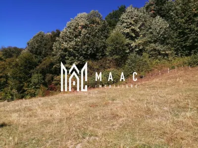 Teren Extravilan 20.000Mp I Stoenești -Vâlcea I Apă Curentă și Pădure - foto 14