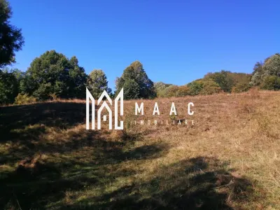 Teren Extravilan 20.000Mp I Stoenești -Vâlcea I Apă Curentă și Pădure - foto 15