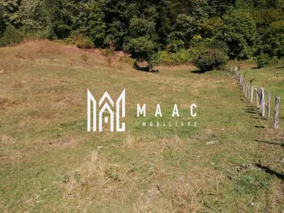 Teren Extravilan 20.000Mp I Stoenești -Vâlcea I Apă Curentă și Pădure - foto 3