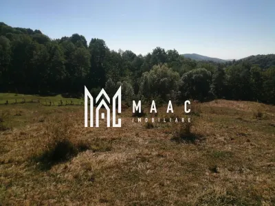 Teren Extravilan 20.000Mp I Stoenești -Vâlcea I Apă Curentă și Pădure - foto 4