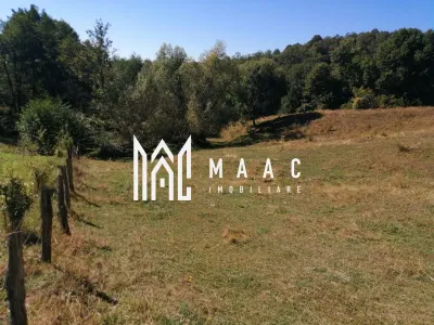 Teren Extravilan 20.000Mp I Stoenești -Vâlcea I Apă Curentă și Pădure - foto 10