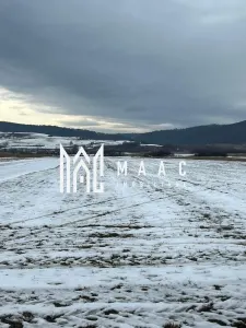 Teren | Extravilan | Oportunitate Investiție | 10 000 MP | Bradu - foto 3