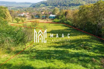 Teren | Intravilan | 2439 MPU | Fântânele - foto 2