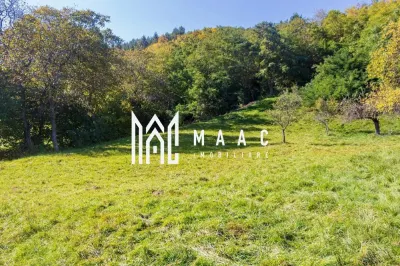 Teren | Intravilan | 2439 MPU | Fântânele - foto 5
