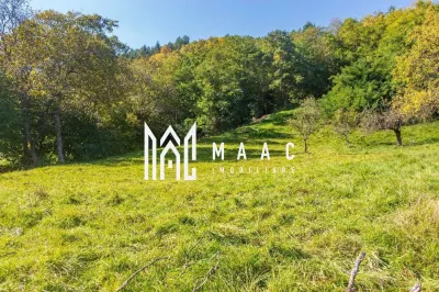 Teren | Intravilan | 2439 MPU | Fântânele - foto 7