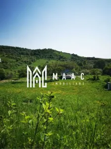 Teren | Intravilan | 5129 MP | 2 Cabane AFrame | Oportunitate Investiție | Bradu - foto 2