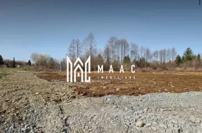 TEREN INTRAVILAN 4007 MP I VALEA AVRIGULUI - foto 4