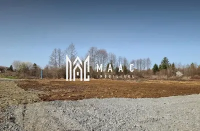 TEREN INTRAVILAN 4007 MP I VALEA AVRIGULUI - foto 5