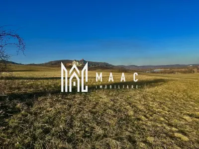 Teren cu potențial turistic I Bradu I Vedere Panoramică I 2000 MP - foto 3