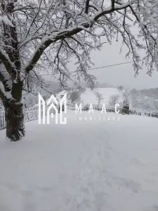 Casa I 60000 mp pamant I  Cugir I Alba - foto 16