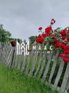 Casa I 60000 mp pamant I  Cugir I Alba - foto 17