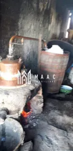 Casa I 60000 mp pamant I  Cugir I Alba - foto 3