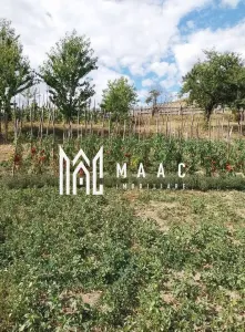 Casa I 60000 mp pamant I  Cugir I Alba - foto 26