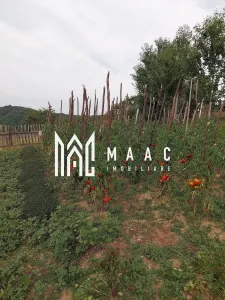 Casa I 60000 mp pamant I  Cugir I Alba - foto 31