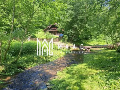 Paradis I Casa de lemn I Transalpina I Sugag - foto 19