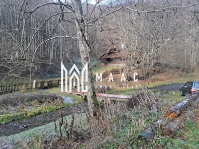Paradis I Casa de lemn I Transalpina I Sugag - foto 5