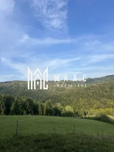 Teren  Intravilan I case vechi I – Poiana Sohodol I Alba - Sohodol