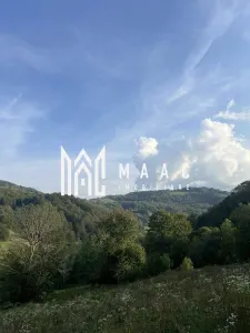 Teren  Intravilan I case vechi I – Poiana Sohodol I Alba - foto 10