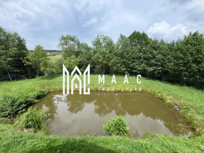 Cabana 5 Camere I 1520 mp teren I Lac de pești I Zona Tocile - foto 5