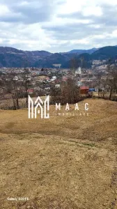 Doua loturi de 1500 mp in BISTRA I Alba I - foto 2