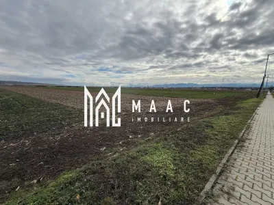 Teren intravilan | 9600 mp | Șură Mică | Utilități | Drum Asfaltat - Sura Mica