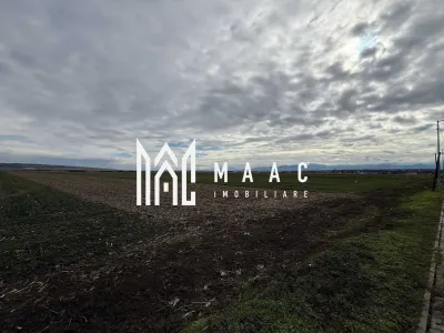 Teren intravilan | 9600 mp | Șură Mică | Utilități | Drum Asfaltat - foto 4