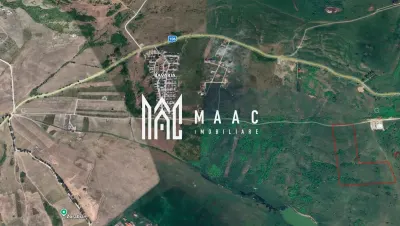 Investiție I Teren extravilan 67.500 mp I Dealul Dăii- Sibiu - foto 3