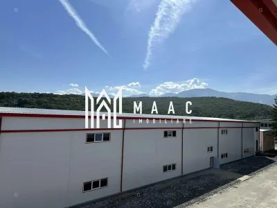 Hala producție I 6857 mp I Acces TIR I Pod Rulant I Mârșa - foto 5