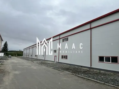 Hala producție I 6857 mp I Acces TIR I Pod Rulant I Mârșa - foto 6