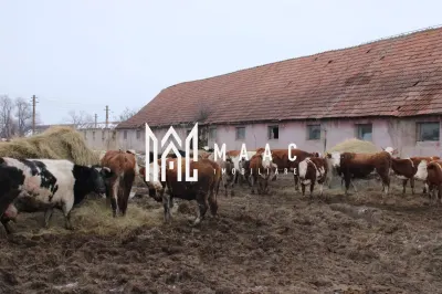 Fermă agricolă funcțională | Vurpar | 1.200 mp construiți | Utilaje disponibile - foto 2