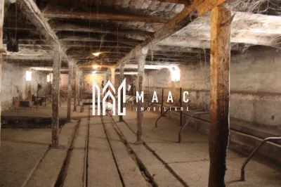 Fermă agricolă funcțională | Vurpar | 1.200 mp construiți | Utilaje disponibile - foto 18