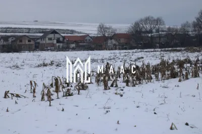 Fermă agricolă funcțională | Vurpar | 1.200 mp construiți | Utilaje disponibile - foto 29