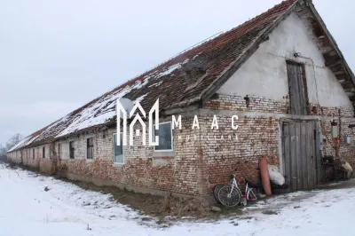 Fermă agricolă funcțională | Vurpar | 1.200 mp construiți | Utilaje disponibile - foto 30