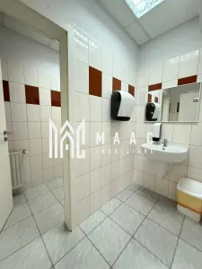 Spatiu de birouri I 194 mpu I Etajul 1 I Zona Sub arini - foto 11