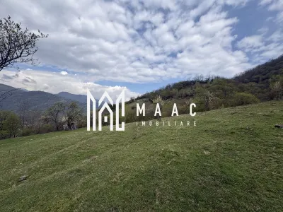 Teren de vânzare, 7750 mp I Orientare sudică I Caineni - foto 2