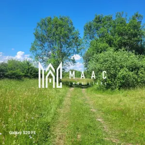 Teren I Constructie I izvor apă minerală  Dangești I 2 Hectare - Dangesti