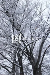 Teren I Constructie I izvor apă minerală  Dangești I 2 Hectare - foto 30