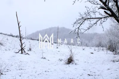 Teren I Constructie I izvor apă minerală  Dangești I 2 Hectare - foto 7